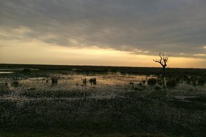 Die Abenddämmerung in den Esteros del Iberá.