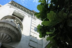 Der Frühling in Buenos Aires macht sich bemerkbar und verzaubert die Stadt.